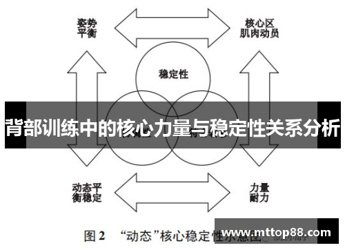 背部训练中的核心力量与稳定性关系分析